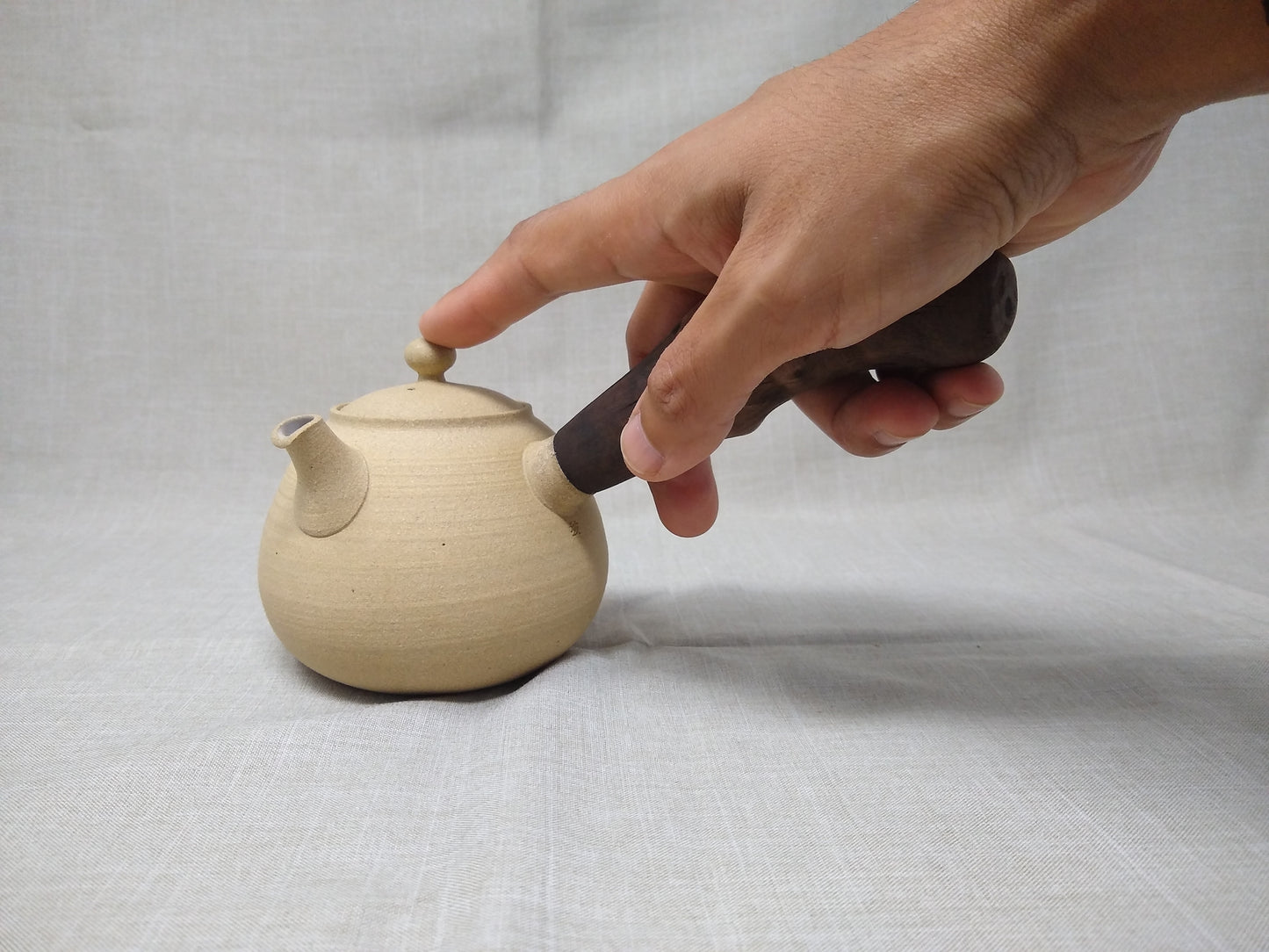 320ml "Sandy Jasper" Kyusu