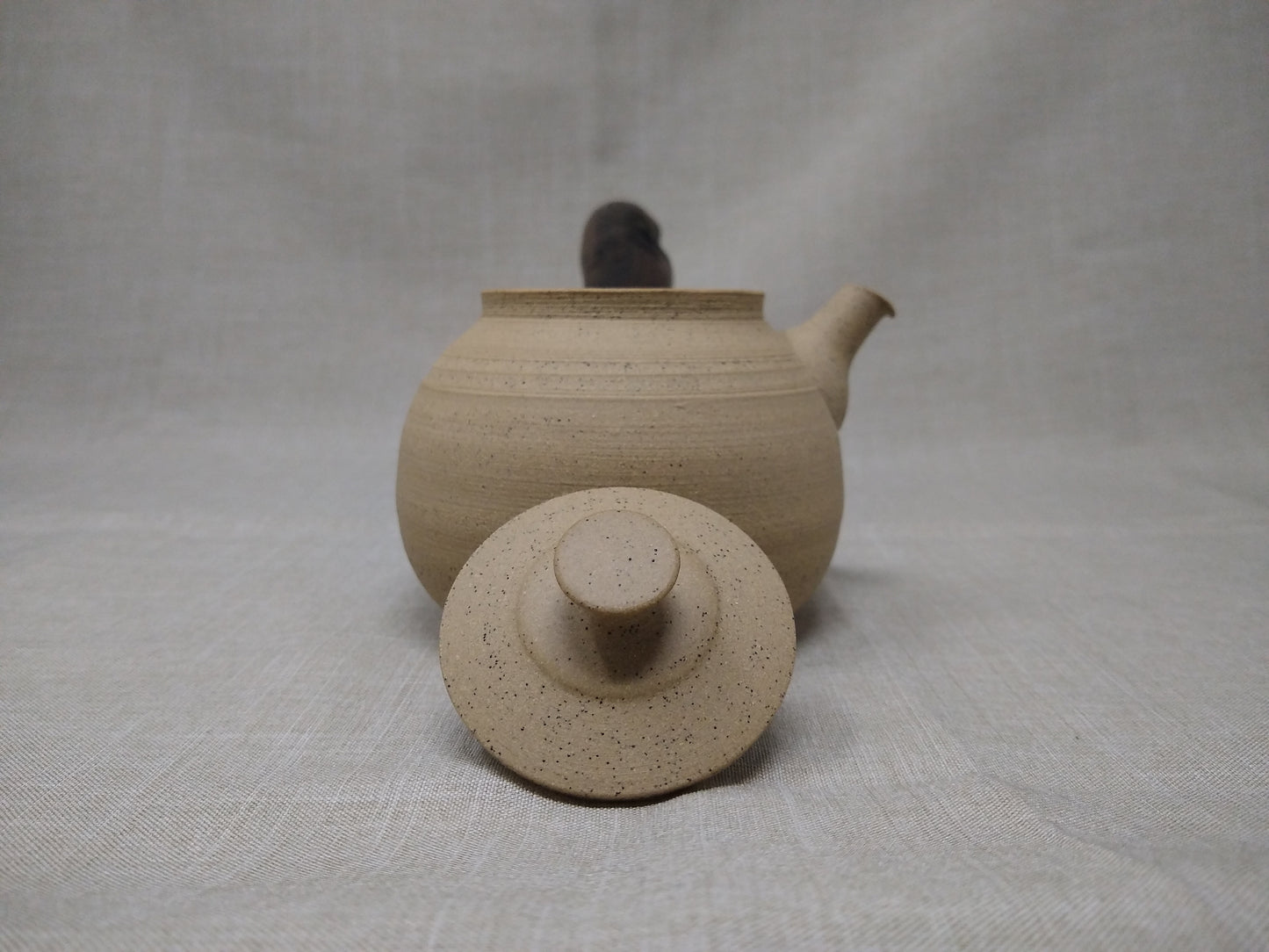 310ml "Sandy Jasper" Kyusu