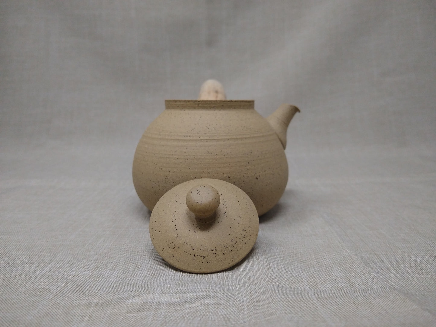 290ml "Sandy Jasper" Kyusu