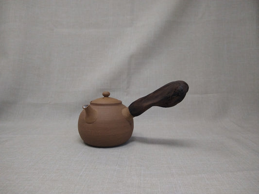 310ml "Jasper" Kyusu