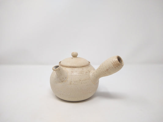 600ml "Mossy Agate" Kyusu